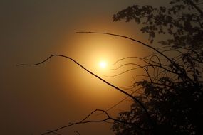 Landscape of the Sunlight