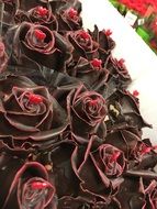 Beautiful choco rose flowers