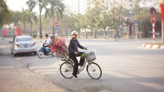 a man on a bicycle carrying blooming Sakura