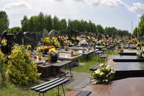 graves with flowers in the cemetery