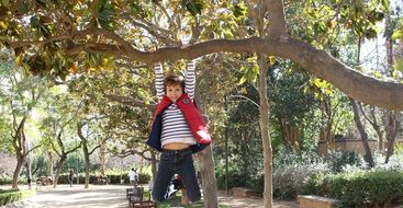 child hanging on a tree