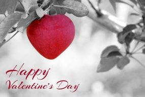 happy wishes for valentines day