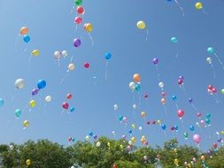 Airballons in a sky