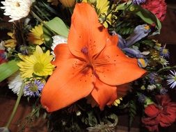 Bouquet of natural flowers