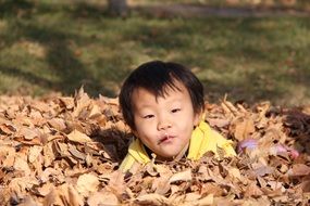 happy child in the mountain of leaves