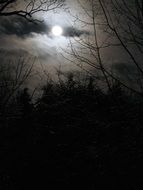 creepy photo of moonlight in the dark