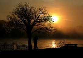 couple in love under a tree at a romantic sunset