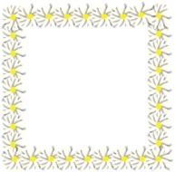 napkin with daisies around the edges