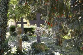 Old quiet cemetery in Potsdam