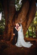 newlyweds at a photo shoot near a huge tree