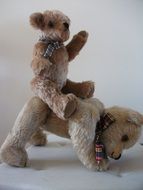 Teddies Cute Bear toy