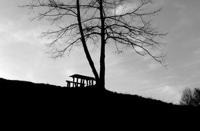 black and white photo of a wooden bench on top of a hill