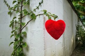 red heart on a small green tree