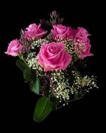 festive bouquet of pink roses on a black background