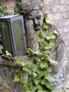 green plant on the statue