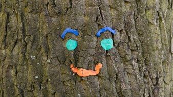 Cheerful Face on Tree trunk