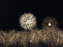 Fireworks celebration Explosion