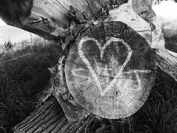 image of a heart on an old log