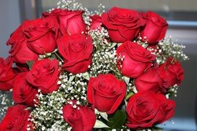 nice Roses