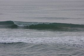 calm surf