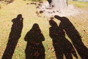 shadows of people on green grass with yellow leaves
