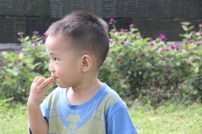 adorable young boy in a garden