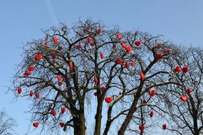 leafless tree with red hearts