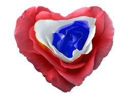 flower petals are folded in the shape of a heart
