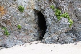 rocky coast in cornwall