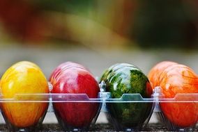 shiny eggs in a transparent tray