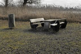 place to rest near the reeds