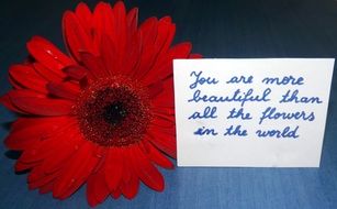 beatuful love confession