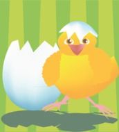 Chicken Newborn drawing