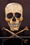Horror Pirate Death