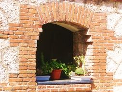 potted flowers on a brick window sill