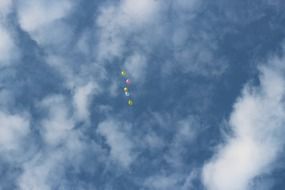Colorful balloons in sky