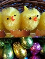 Easter Chicks toy
