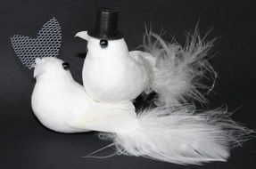 white doves for wedding