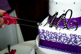 cutting of the wedding cake