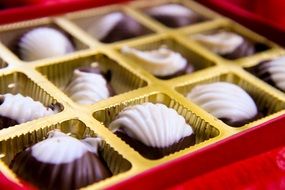 chocolates in a box