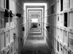 Cemetery Peace