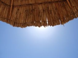 Sunshine in summer