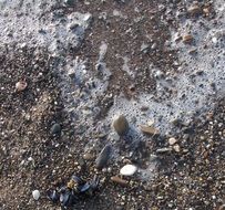 wet pebbles on the shore at high tide