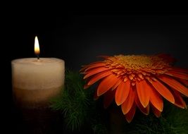 White candle and beautiful colorful flower