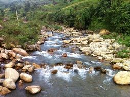 stream flows over stones in spring