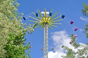 carousel in a flowered park