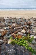 stone coastal line in cornwall