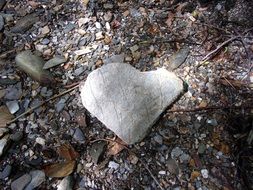 heart-shaped stone on earth