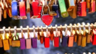 colorful Padlocks on a bridge