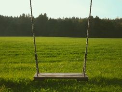 swings on the lawn